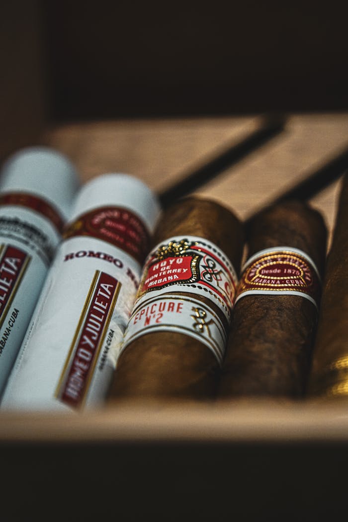 High-quality cigars displayed in a wooden box, showcasing premium packaging.